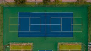 a blue tennis court on a green wall at Las Villas Hotel & Golf By Estrella del Mar in Mazatlán