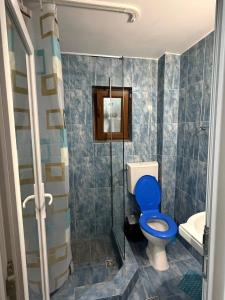 a bathroom with a blue toilet and a shower at Casa Dina in Băile Herculane