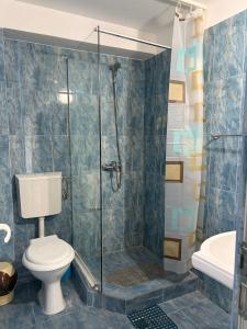 a bathroom with a shower with a toilet and a sink at Casa Dina in Băile Herculane