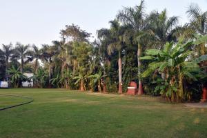 a park with palm trees and a field of grass at Green Valley Resort in Dūngarpur