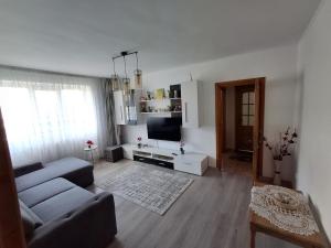 a living room with a couch and a tv at Apartament ALEX-LUXURY in Târgu Ocna
