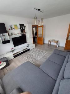a living room with a couch and a tv at Apartament ALEX-LUXURY in Târgu Ocna