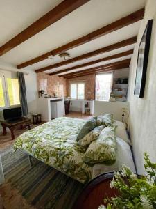 a bedroom with a bed and a couch in it at Cortijo Paraiso Pool & Tropical Garden Oasis in Cúllar de Baza