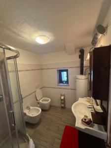 a bathroom with a toilet and a sink and a shower at La Canàoula in Bobbio Pellice +16 photos