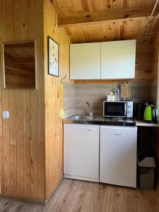 a kitchen with a sink and a microwave at Nameliai TRES in Bernotiškė