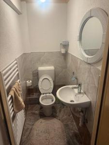a small bathroom with a toilet and a sink at Eko park Jelići in Jelići