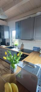 a kitchen with blue cabinets and a table with a machine at MAKS HOUSE KASZUBY Balia Lake and Forest Retreat in Przewóz