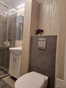 a bathroom with a toilet and a sink at Iris central Mangalia 2 bedroom apartment in Mangalia +14 photos