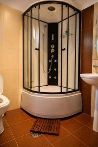 a shower in a bathroom with a toilet and a sink at La Poalele Cerului in Fundata