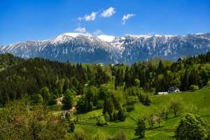 a view of a mountain range with snow covered mountains at La Poalele Cerului in Fundata