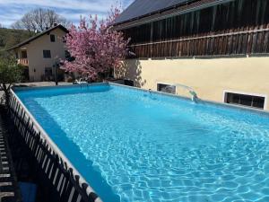 a large blue swimming pool next to a building at Bubble Tent Altmühltal in Greding