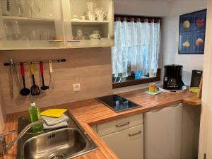 a kitchen with a sink and a counter top at Familija in Straupitz