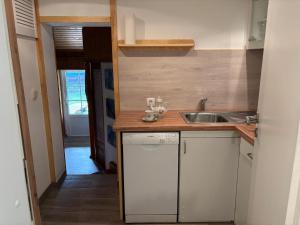 a small kitchen with a sink and a dishwasher at Familija in Straupitz +1 photo