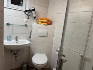 a small bathroom with a toilet and a sink at Familija in Straupitz