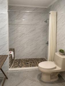 a bathroom with a toilet and a shower at Econo Lodge Calhoun South in Calhoun