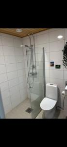 a bathroom with a shower and a toilet in it at Lapland home in Rovaniemi