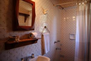 a bathroom with a sink and a mirror and a shower at Hosteria Las Cartas in San Carlos de Bariloche