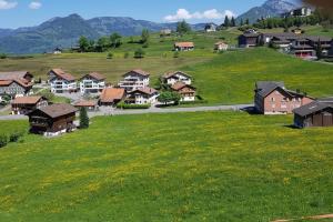 a village with houses on a hill with green grass at Ambiente in Emmetten in Emmetten
