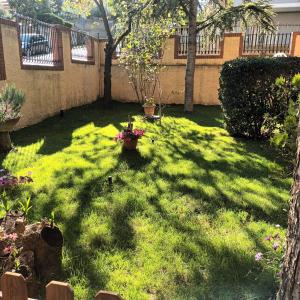 a yard with a lot of green grass and trees at Villa Vanessa in Spoltore +1 photo