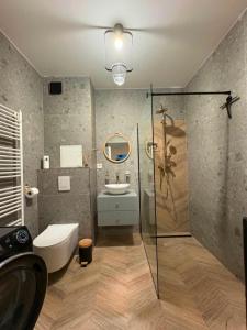 a bathroom with a shower and a toilet and a sink at Apartmán JAMI REZIDENCIA in Spišské Podhradie +44 photos