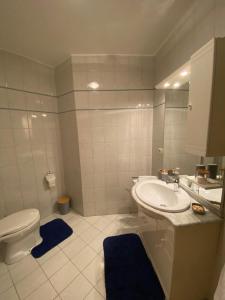a white bathroom with a toilet and a sink at Ferienwohnung Abendsonne in Schenkenfelden