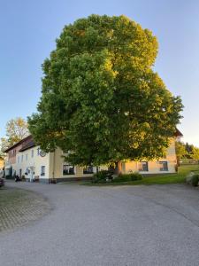 a large tree in front of a house at Ferienwohnung Abendsonne in Schenkenfelden +13 photos