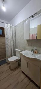 a bathroom with a toilet and a sink at Family House in Platamonas +27 photos