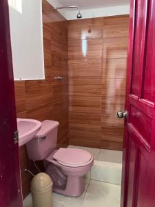 a bathroom with a pink toilet and a sink at Alojamiento Sabadell Ibarra in Ibarra