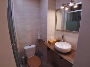 a bathroom with a toilet and a sink and a mirror at Whitebearlodge in Arâches-la-Frasse