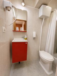 a bathroom with a white toilet and a red sink at Hostal Porta Santiago in Lugo