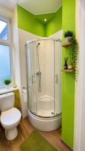 a green bathroom with a shower and a toilet at MieszkaStreet kawalerka in Gniezno