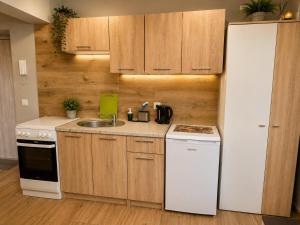 a kitchen with a white refrigerator and a sink at MieszkaStreet kawalerka in Gniezno