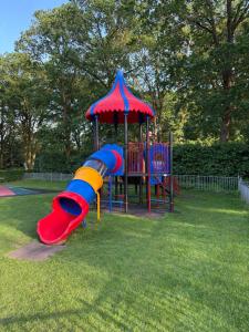 a playground with a colorful slide in the grass at Het Roodborstje in Holten