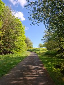 a dirt road with trees on either side at Ferienwohnung Thomas in Adenbach