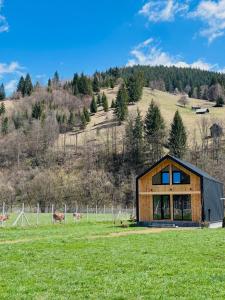 a house in a field with horses in the background at The Black Barn in Frumosu +6 photos
