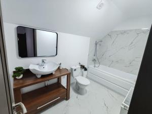 a bathroom with a sink and a toilet and a mirror at Vintage House Apart in Buzău +41 photos