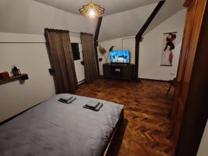 a bedroom with a bed and a flat screen tv at Vintage House Apart in Buzău