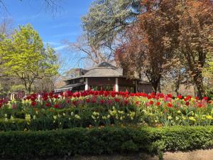 a garden of tulips in front of a building at maitagarri casco antiguo in Pamplona