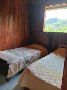 two beds in a wooden room with a window at villa veronica in Sasaima