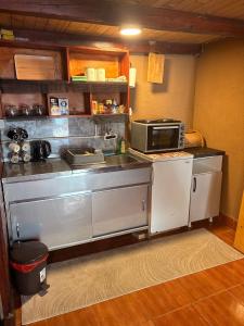 a kitchen with a stove and a microwave at Riverside Cabin in Železnička Stanica Ovčar Banja
