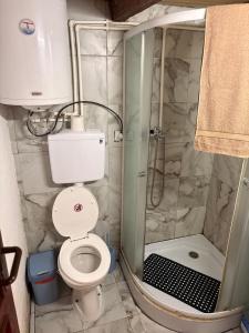 a bathroom with a toilet and a shower at Riverside Cabin in Železnička Stanica Ovčar Banja +17 photos
