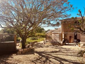 a tree in the yard of a house at Villa Sainte Anne in Sénas