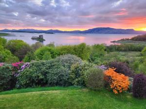 a view of a lake at sunset with flowers at Appin Bay View in Appin