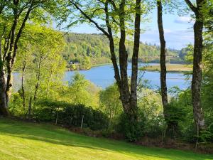 a view of a lake through the trees at Appin Bay View in Appin