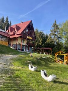 a large building with some rocks in the grass at Pensiunea Casa OLLY in Muntele Cacovei