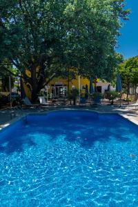 a large blue swimming pool with a tree in the background at B&B Villa Marta - New Opening 2026 in Medulin