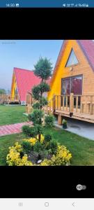 a small pine tree in front of a house at denizkızı bungalow in Zumrutkaya
