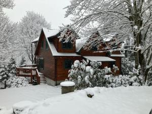 a house covered in snow in a yard at Windswept Vistas in Boone