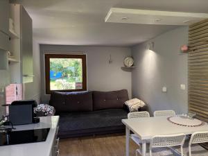 a living room with a couch and a table at Lawendowa Weranda in Krasnobród