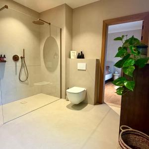 a bathroom with a toilet and a shower at La Petite Suite - Unique Guesthouse in Schilde
